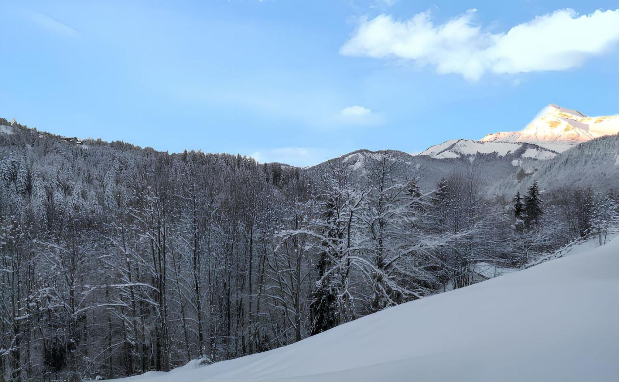 Appartement Confortable Avec Vue Sur La Montagne Нотр-Дам-де-Белькомб Екстер'єр фото